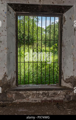 Alte vergitterten Fenster gegen Hintergrundbeleuchtung mit Garten Stockfoto