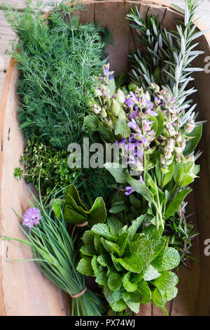 Frisch gepflückt Kräuter aus der Küche Garten: Schnittlauch, Minze, Thymian, Rosmarin, Dill, Salbei mit essbaren lila Blumen und grüne Blätter Stockfoto