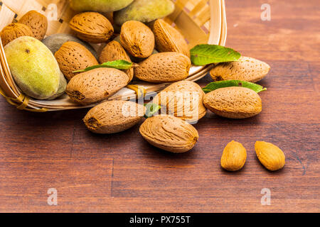 Rohe Mandeln, geschält, mit Schale, Haut (almendrucos) und Mandel Blätter. Auf dunklen Hintergrund. Stockfoto