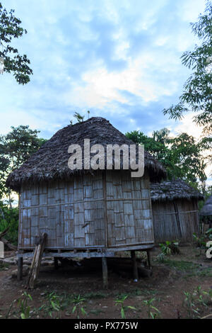 Indigene Haus aus Holz in den Amazonas Regenwald, Ecuador Stockfoto