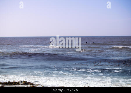 Ofir Beach in Portugal, Surf spot Stockfoto