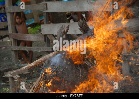 Feuer aus dem Fell eines frisch geschlachteten Schwein, Honiara, Solomon Inseln zu brennen. Stockfoto