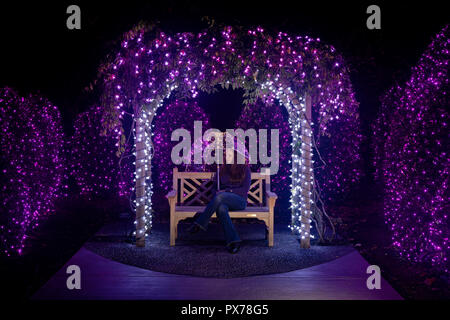 Frau alleine sitzen auf einer Parkbank holdling klar Schirm; unter bunten Holiday Lights-North Carolina Arboretum, Asheville, North Carolina, USA Stockfoto