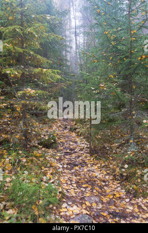 Trekking Route in Repovesi Nationalpark in Finnland Stockfoto