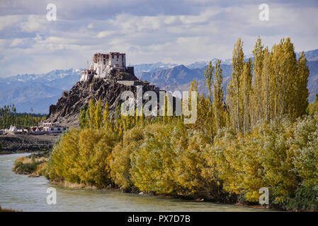 Stakna Klosters und der Indus River im Herbst, Ladakh, Indien Stockfoto