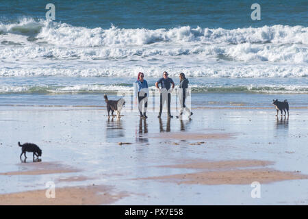 Hund Spaziergänger auf den Fistral Beach in Newquay in Cornwall. Stockfoto