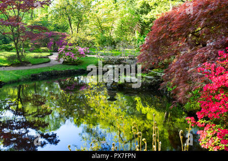 Japanischer Garten in Den Haag Stockfoto