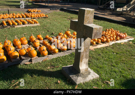 Kürbisse zum Verkauf in einer Kirche Friedhof als Teil der Mumfest in New Bern, North Carolina Stockfoto