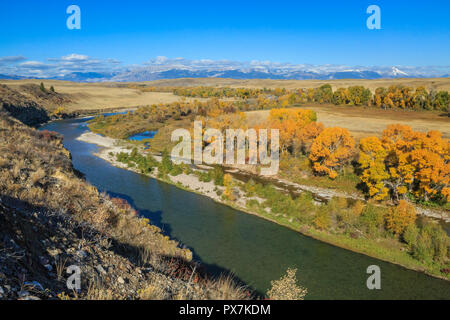 Herbst Farben entlang der Sonne Fluss unterhalb des Rocky Mountain Front in der Nähe von Augusta, Montana Stockfoto