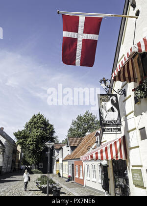 Schild mit Andersens Swan, die dänische Flagge Dannebrog, Dänemark, Fuenen, Odense Stockfoto