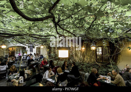 Wien, Spittelberg, restaurant Amerlingbeisl, Österreich, 7. Bezirk Stockfoto