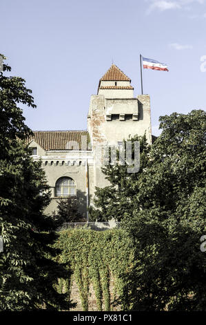 Beograd, Festung mit serbische Fahne im Wind, Serbien-Montenegro, Belgrad Stockfoto