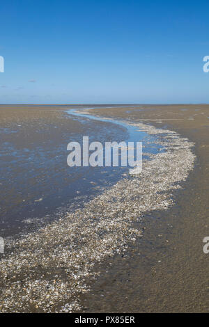 Kleine Fluss am Strand ins Meer, die Bucht der Somme, Picardie, Frankreich Stockfoto