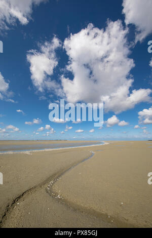 Kleine Fluss am Strand ins Meer, die Bucht der Somme, Picardie, Frankreich Stockfoto