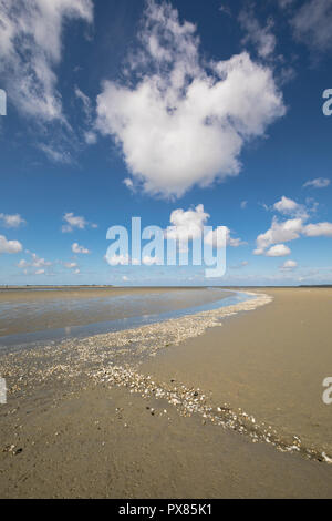 Kleine Fluss am Strand ins Meer, die Bucht der Somme, Picardie, Frankreich Stockfoto