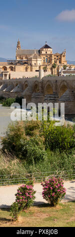 Mezquita und römische Brücke, Córdoba, Andalusien, Spanien, Europa Stockfoto