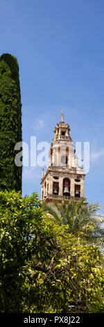 Turm der Mezquita, Córdoba, Andalusien, Spanien, Europa Stockfoto