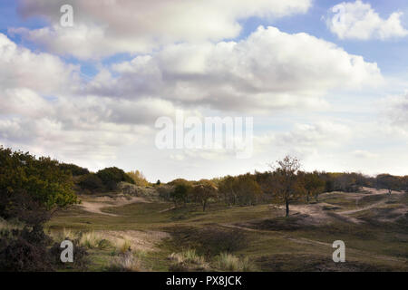 Schöne Aussicht auf die Küste der Waterleidingduinen, in der Nähe von Amsterdam, Niederlande. Idealer Ort zum Wandern und Natur genießen Stockfoto