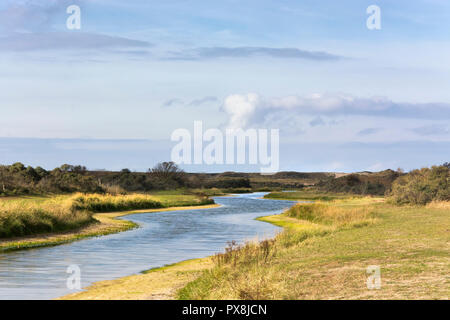 Schöne Aussicht auf die Waterleidingduinen, Dünen, in der Nähe von Amsterdam. Stockfoto