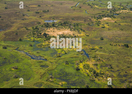 Herrlichem Blick auf die üppige Vegetation des Okavango Delta in Botswana Stockfoto
