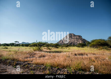 Ein Blick auf die männlichen Hügel an der Tsodilo Hills, ein UNESCO-Weltkulturerbe, mit antiken San Felsmalereien. Bild inmitten einer Wiese und trockenen Ebenen Stockfoto