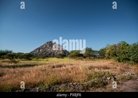 Ein Blick auf die männlichen Hügel an der Tsodilo Hills, ein UNESCO-Weltkulturerbe, mit antiken San Felsmalereien. Bild inmitten einer Wiese und trockenen Ebenen Stockfoto