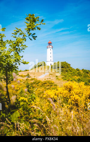 Klassische Ansicht der berühmte Leuchtturm Dornbusch auf der schönen Insel Hiddensee mit blühenden Blumen im Sommer, Ostsee, Mecklenburg-Vorpommern Stockfoto