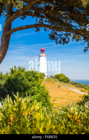 Klassische Ansicht der berühmte Leuchtturm Dornbusch auf der schönen Insel Hiddensee mit blühenden Blumen im Sommer, Ostsee, Mecklenburg-Vorpommern Stockfoto