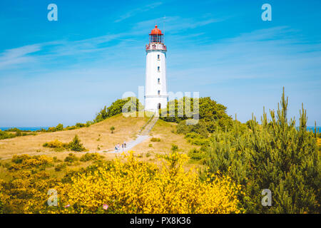 Klassische Ansicht der berühmte Leuchtturm Dornbusch auf der schönen Insel Hiddensee mit blühenden Blumen im Sommer, Ostsee, Mecklenburg-Vorpommern Stockfoto