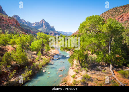 Zion National Park Landschaft mit berühmten Virgin River und der Wächter Berg im Hintergrund an einem schönen sonnigen Tag mit blauen Himmel im Sommer, Stockfoto