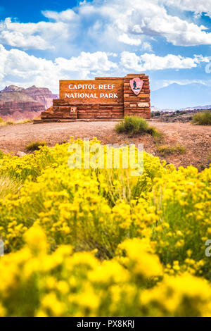 Schöne Aussicht von Capitol Reef National Park Eingangsschild mit blühenden Wildblumen im Sommer, central Utah, USA Stockfoto