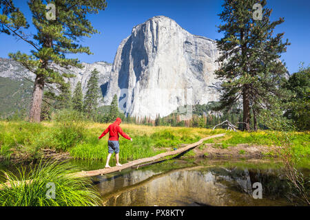 Ein Wanderer ist ausgleichend auf einen umgestürzten Baum mit einem Nebenfluss des Merced River vor der berühmten El Capitan klettern Gipfel im malerischen Yosemite Valley Stockfoto