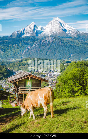 Schöne Panoramasicht auf idyllischen Berglandschaft mit traditionellen Mountain Chalets und Kuh weiden auf grünen Wiesen an einem schönen sonnigen Tag mit Bl Stockfoto