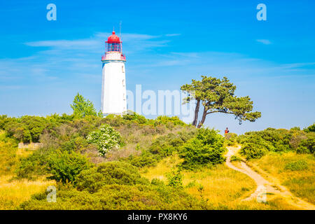 Klassische Ansicht der berühmte Leuchtturm Dornbusch auf der schönen Insel Hiddensee mit blühenden Blumen im Sommer, Ostsee, Mecklenburg-Vorpommern, Deu Stockfoto