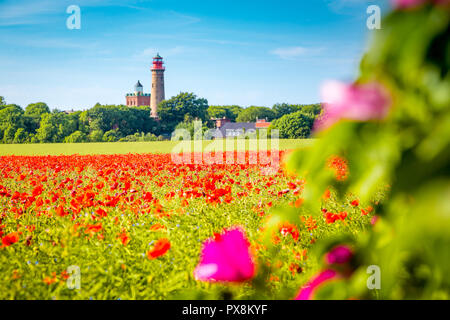 Schönen Blick auf Kap Arkona Leuchtturm mit einem Feld von blühenden Roter Mohn Blumen im Sommer, Insel Rügen, Ostsee, Deutschland Stockfoto