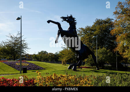 Die Metal Black Horse Skulptur namens Bucephalus und wusste, lokal als Auslöser. Die Skulptur wurde von Simon Evans erstellt und ist auf greyfriars Green in Stockfoto