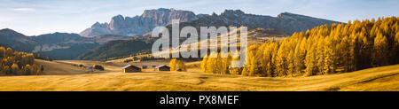 Schöne Sicht der traditionellen Holz- Mountain Chalets an der malerischen Seiser Alm mit berühmten langkofel Bergspitzen im Hintergrund in Golden Morning Stockfoto