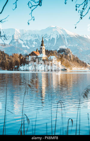 Schönen Blick auf berühmte Bleder Insel (Blejski otok) am malerischen Bleder See mit Burg von Bled (Blejski Grad) und die Julischen Alpen im Hintergrund bei Sonnenaufgang Stockfoto