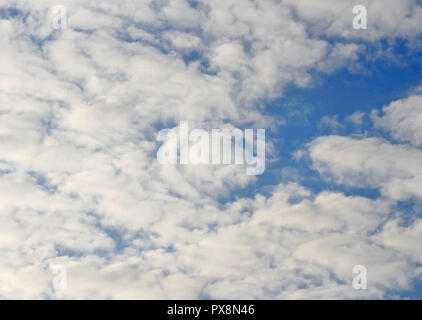 Decke von Stratus Wolken bilden gegen einen blauen Sommerhimmel Stockfoto