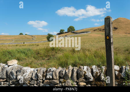 Friedliche Aussicht über moorlandschaften Ackerland mit Trockenmauern auf einem sonnigen Juli Nachmittag in der nähe von Hartington, Derbyshire, England, Großbritannien Stockfoto