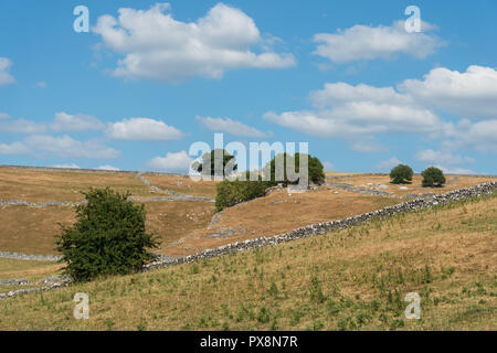 Friedliche Aussicht über moorlandschaften Ackerland mit Trockenmauern auf einem sonnigen Juli Nachmittag in der nähe von Hartington, Derbyshire, England, Großbritannien Stockfoto