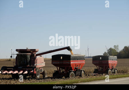 Fonda, Iowa, USA. 17 Okt, 2018. Ein Landwirt entlädt seine Mähdrescher ernten, als er seinem Maisfeld Mais außerhalb von Fonda, Iowa, Mittwoch, 17. Okt. 2018. Die Landwirte werden entlastet, in ihren Bereichen zu erhalten, ihre Kulturen bis zur Ernte nach sieben bis acht Tagen Regen vor kurzem. Aber diese Erleichterung nicht Ihre Sorge, dass der Tarif spuckte der Die aktuelle republikanischen Administration in Washington ist derzeit mit anderen Nationen nicht lindern. Quelle: Jerry Mennenga/ZUMA Draht/Alamy leben Nachrichten Stockfoto