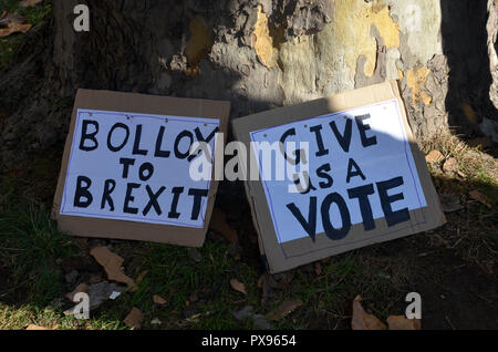 London, Großbritannien. Okt, 2018 20. Zeichen auf dem Boden, 'March für die Zukunft', Rallye, die eine zweite EU-Referendum über Brexit, die die Abstimmung Kampagne, London, 20. Oktober 2018 Credit: Robert Smith/Alamy Leben Nachrichten organisiert Stockfoto