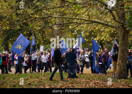 Hyde Park, London, England. 20. Oktober 2018. Anti-Brexit Mitkämpfer Durchführung EU-Flaggen sammeln im Hyde Park. Credit: Anthony Kay/Alamy leben Nachrichten Stockfoto