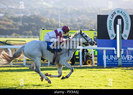 Silber Streifen (Jockey Adam Keil) gewinnt den 2018 Dunraven Gruppe walisischer Meister Hürde bei Ffos Las Pferderennbahn, Trimsaran, Carmarthenshire, Wales. Stockfoto