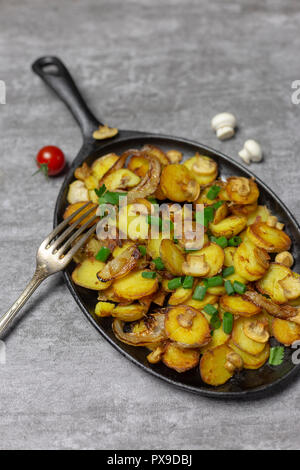 Traditionelle frische Bratkartoffeln mit Pilzen und Zwiebeln in eiserne Pfanne mit frischen Pilzen und Tomaten auf grauem Hintergrund Stockfoto