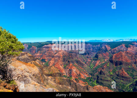 Erstaunlich Waimea Canyon in Kauai, Hawaii Inseln. Kopieren Sie Platz für Text Stockfoto