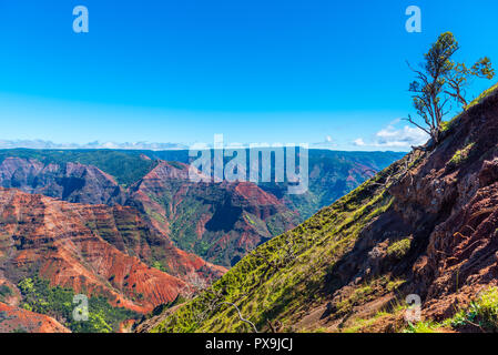 Erstaunlich Waimea Canyon in Kauai, Hawaii Inseln. Kopieren Sie Platz für Text Stockfoto