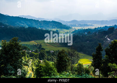 Nepal Reisfelder in Feld und Dorf Hill Stockfoto