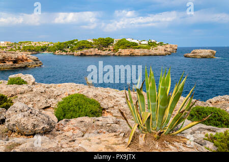 Resorts in Cala D'Or, Mallorca, Spanien. Stockfoto